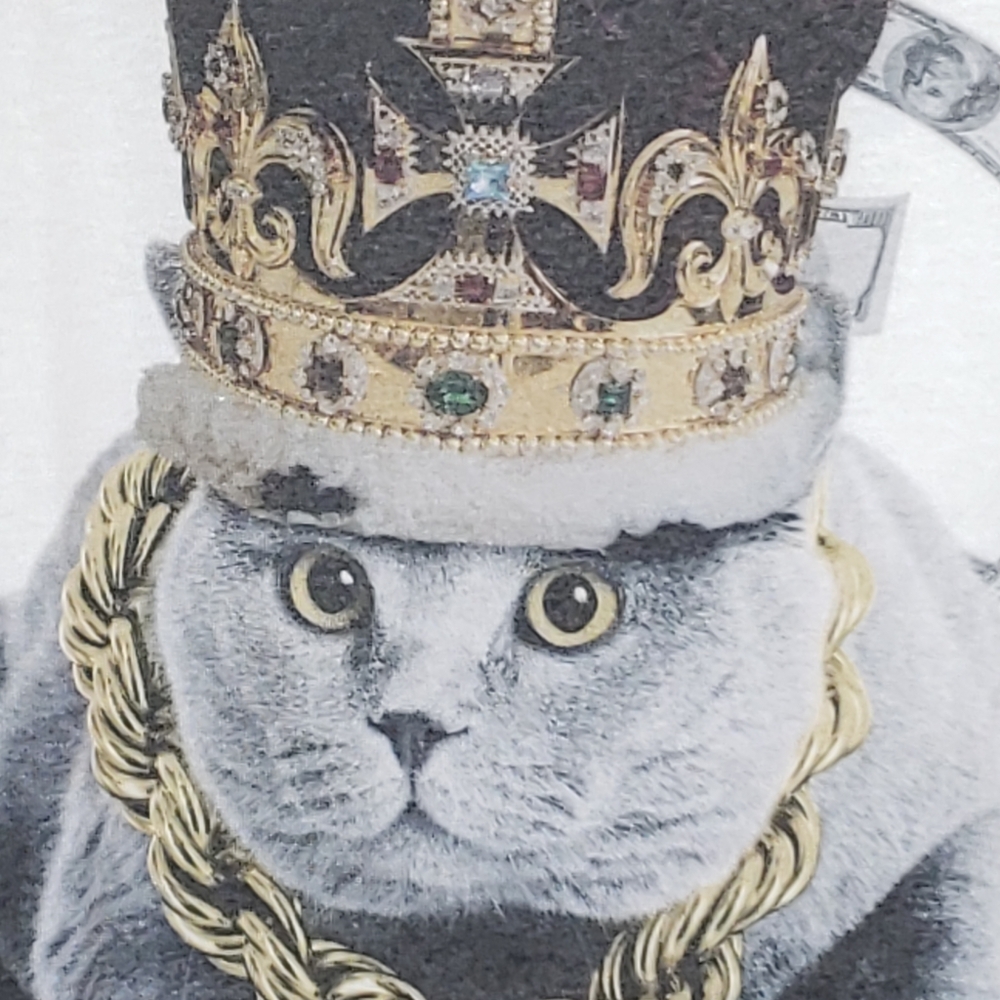 Cat tee Gray Cat Notorious B.I.G Biggie Smalls HipHop Rapper Gangster Thug Kitty - Picture 3 of 10